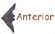 anterior_3p.gif (1410 bytes)